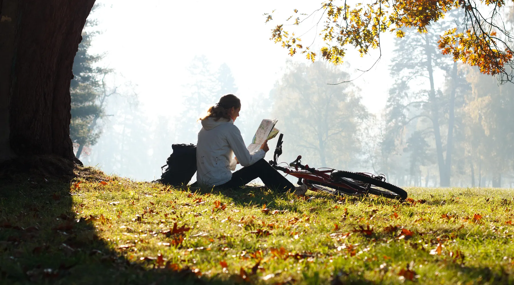 Fietsen_lezen_boom_kaart