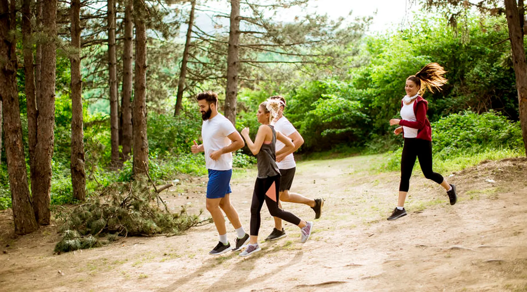 Running in the forests of De Bilt