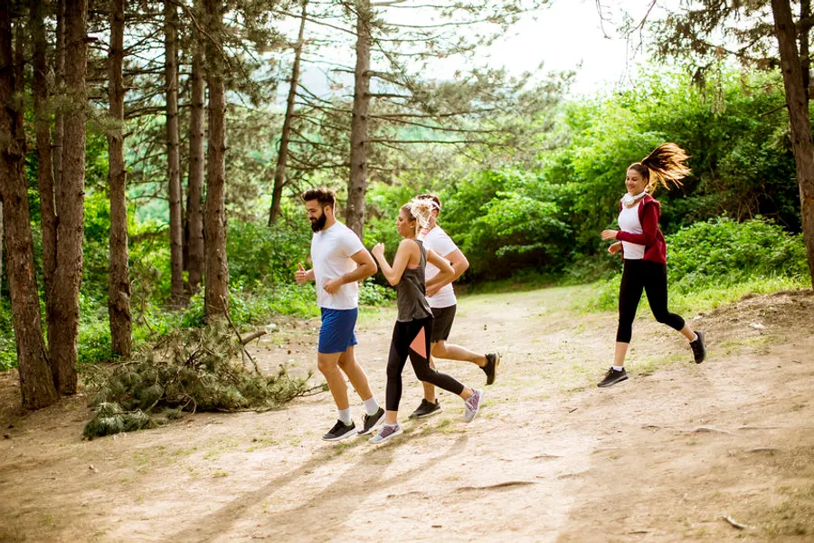 Hardlopen in de bossen van De Bilt