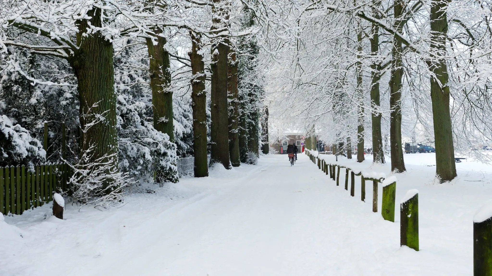 Winter