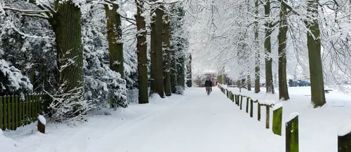 Winter