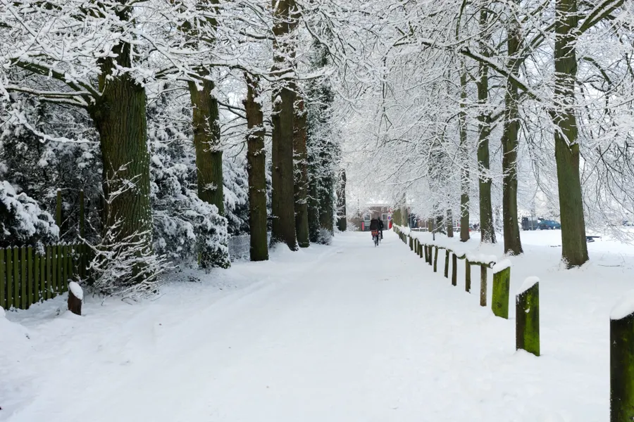 Winter