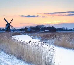 Winter