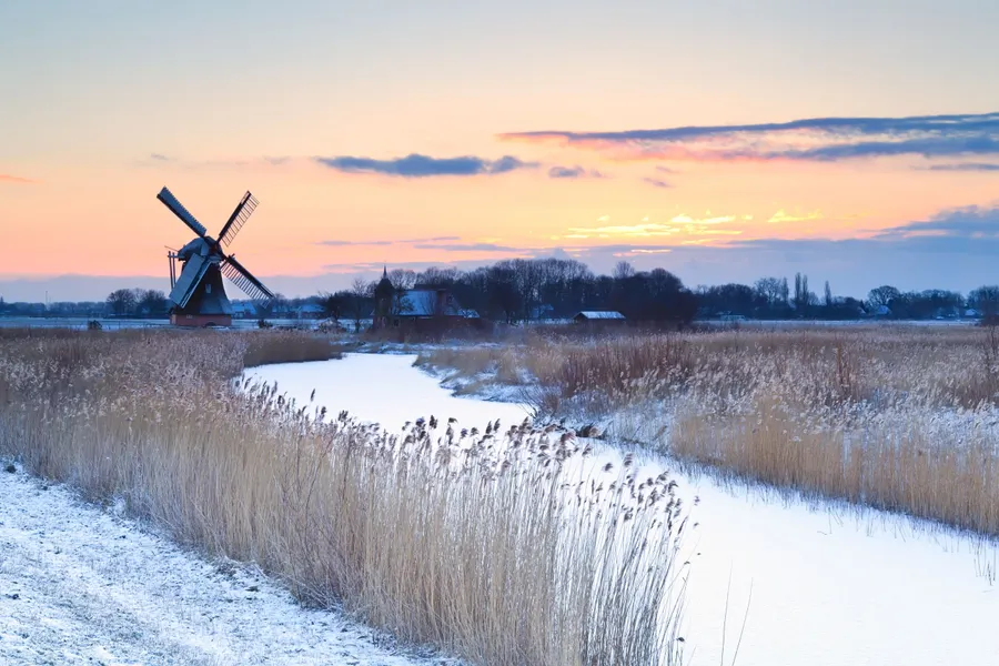 Winter