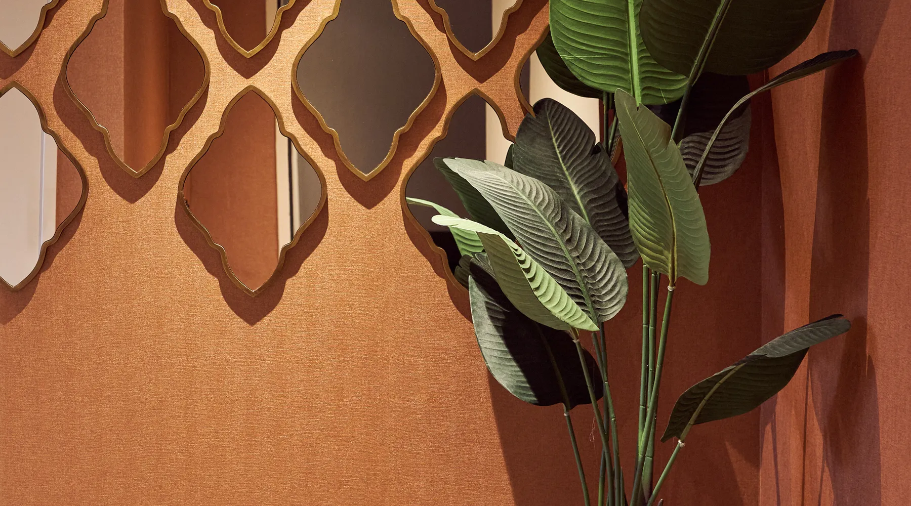 Marrakech suite plant