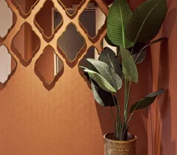 Marrakech suite plant