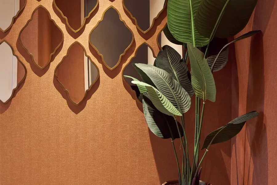 Marrakech suite pflanze