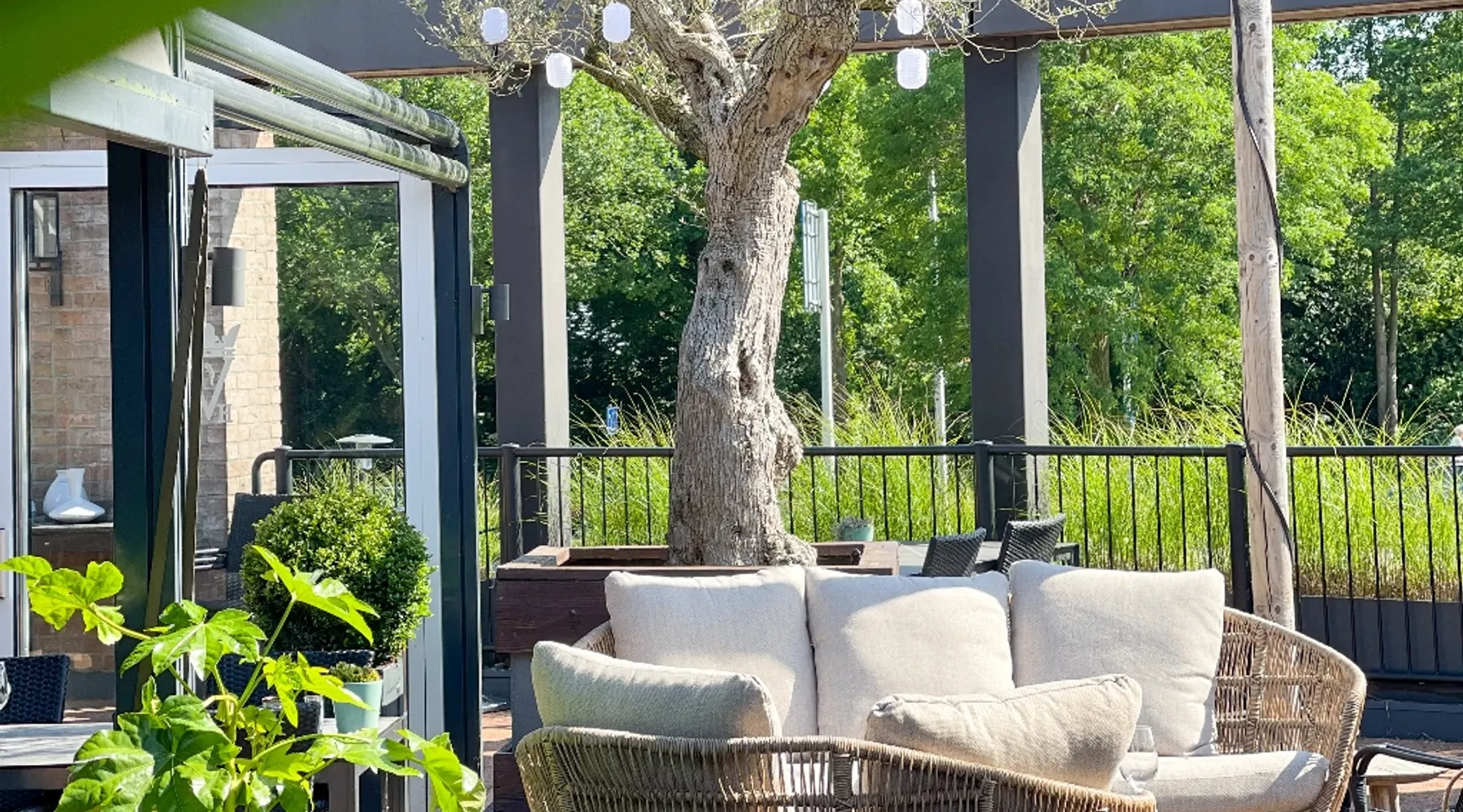 terras