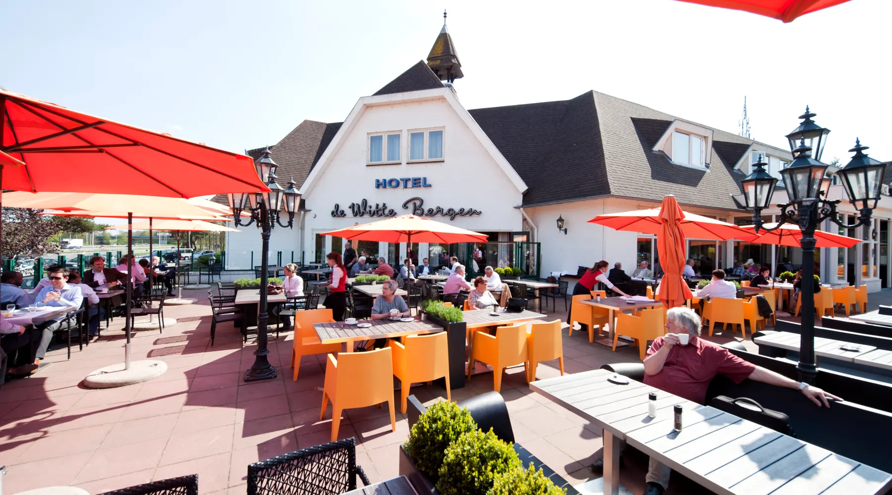 Terras