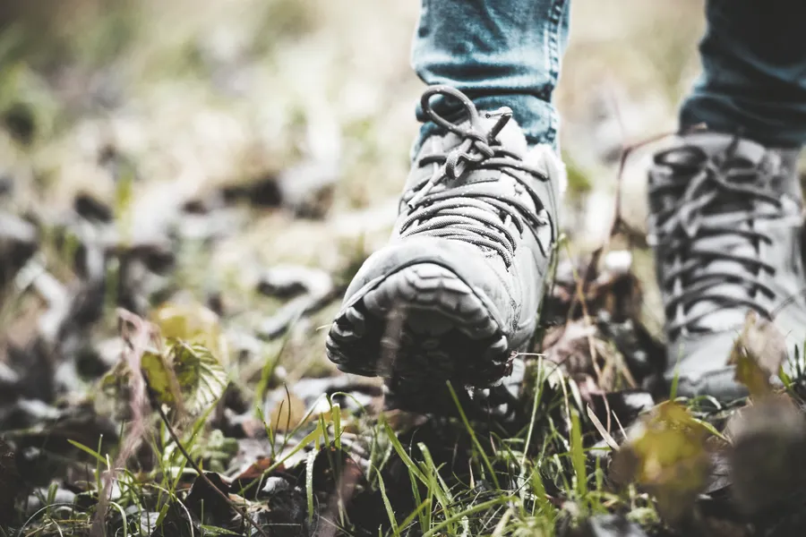 Wandelvierdaagse