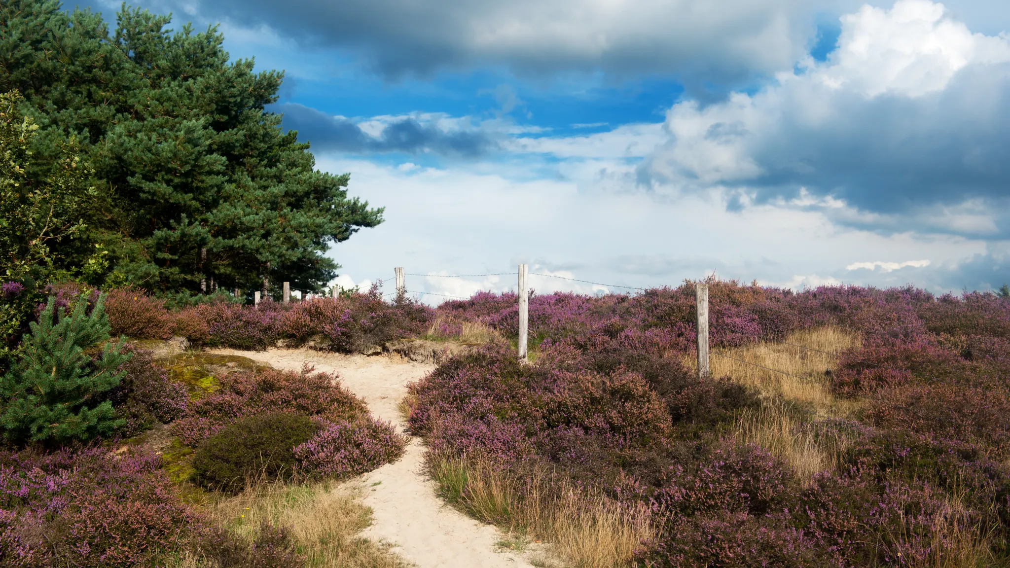 Surroundings’ t Gooi Hotel Hilversum De Witte Bergen
