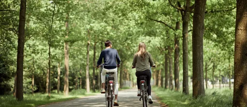 Cycling Package Hotel Hilversum - de Witte Bergen