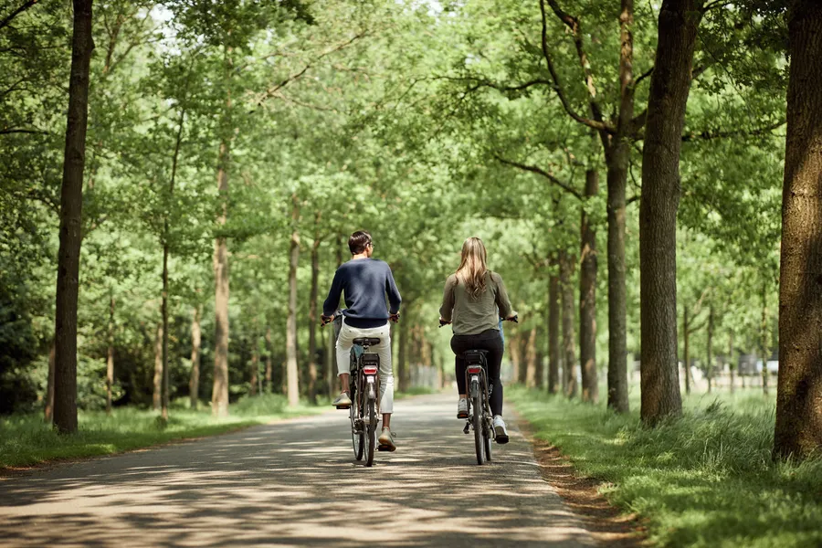 Cycling Package Hotel Hilversum - de Witte Bergen