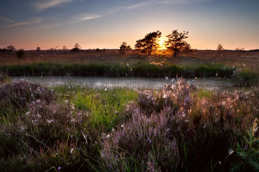 Spring package Hotel Hilversum De Witte Bergen