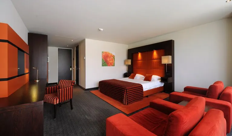 Suite with whirlpool Hotel Hilversum - De Witte Bergen