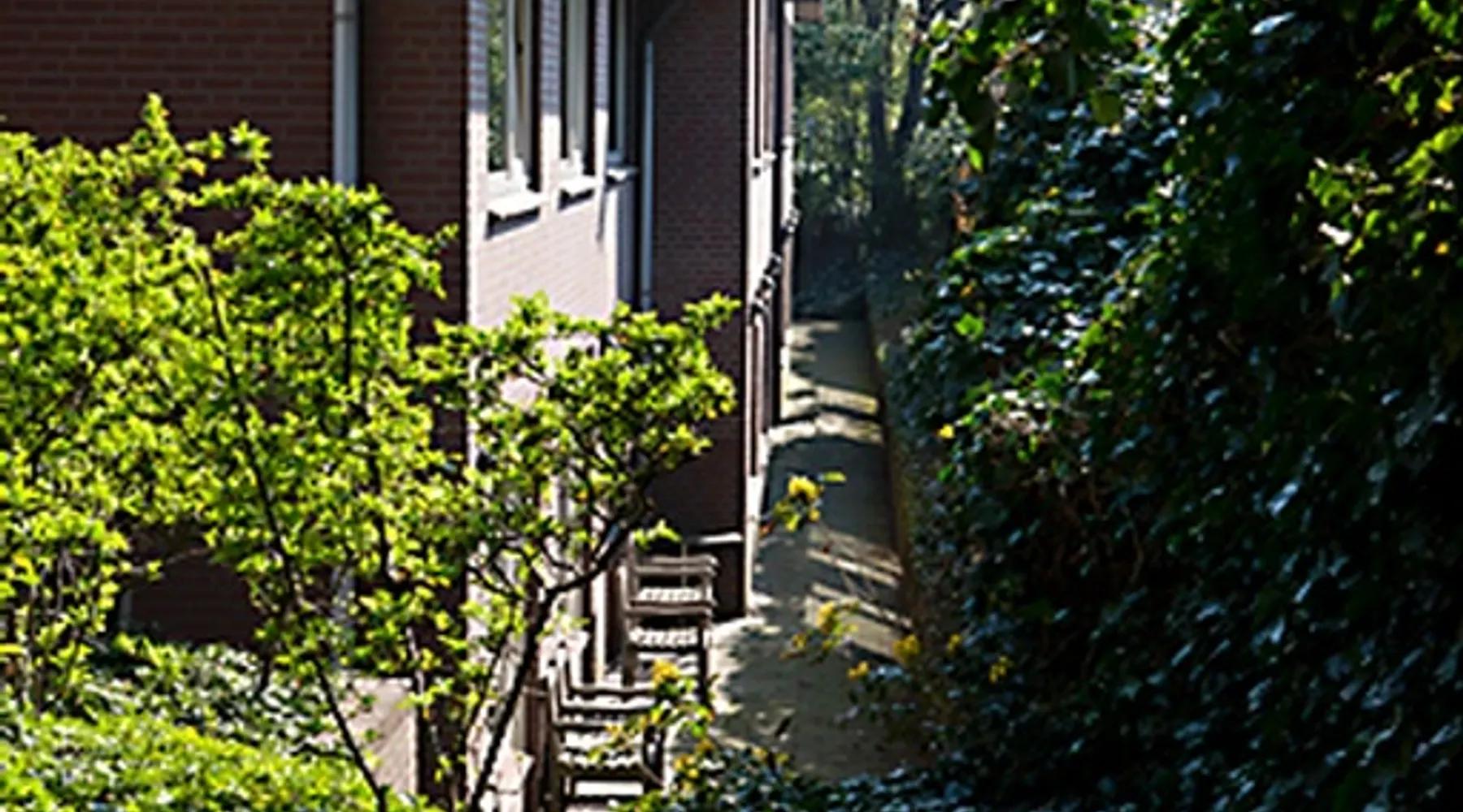 Tuin Hotel Hilversum - De Witte Bergen
