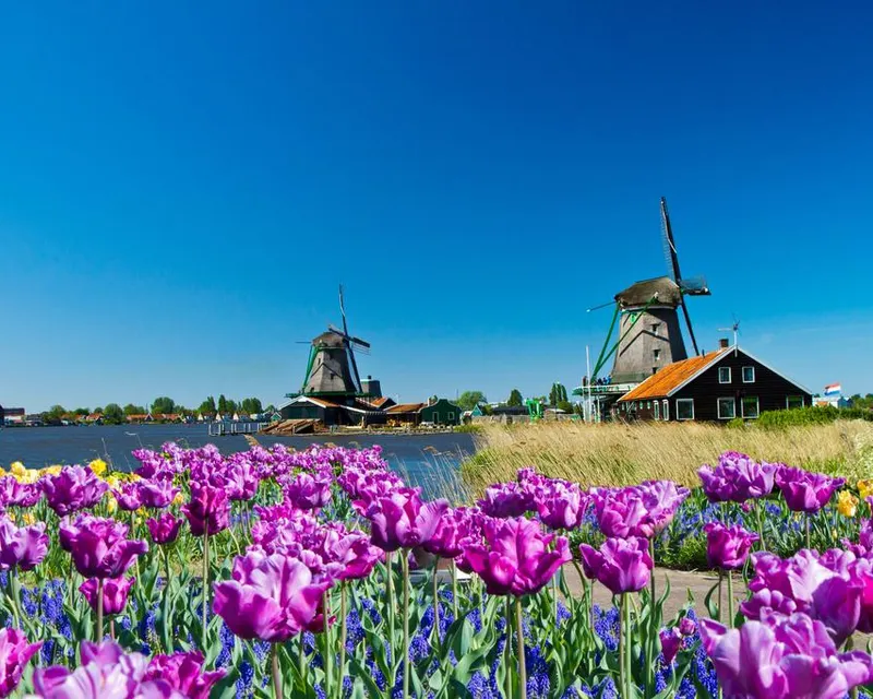 Zaanse schans