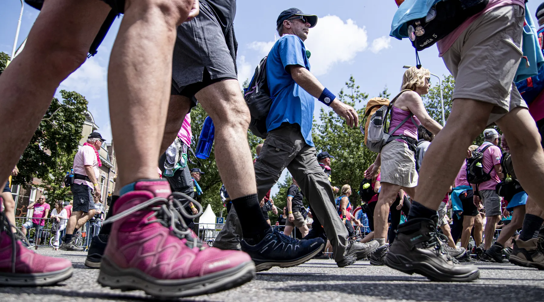 Nijmeegse Vierdaagse hiking