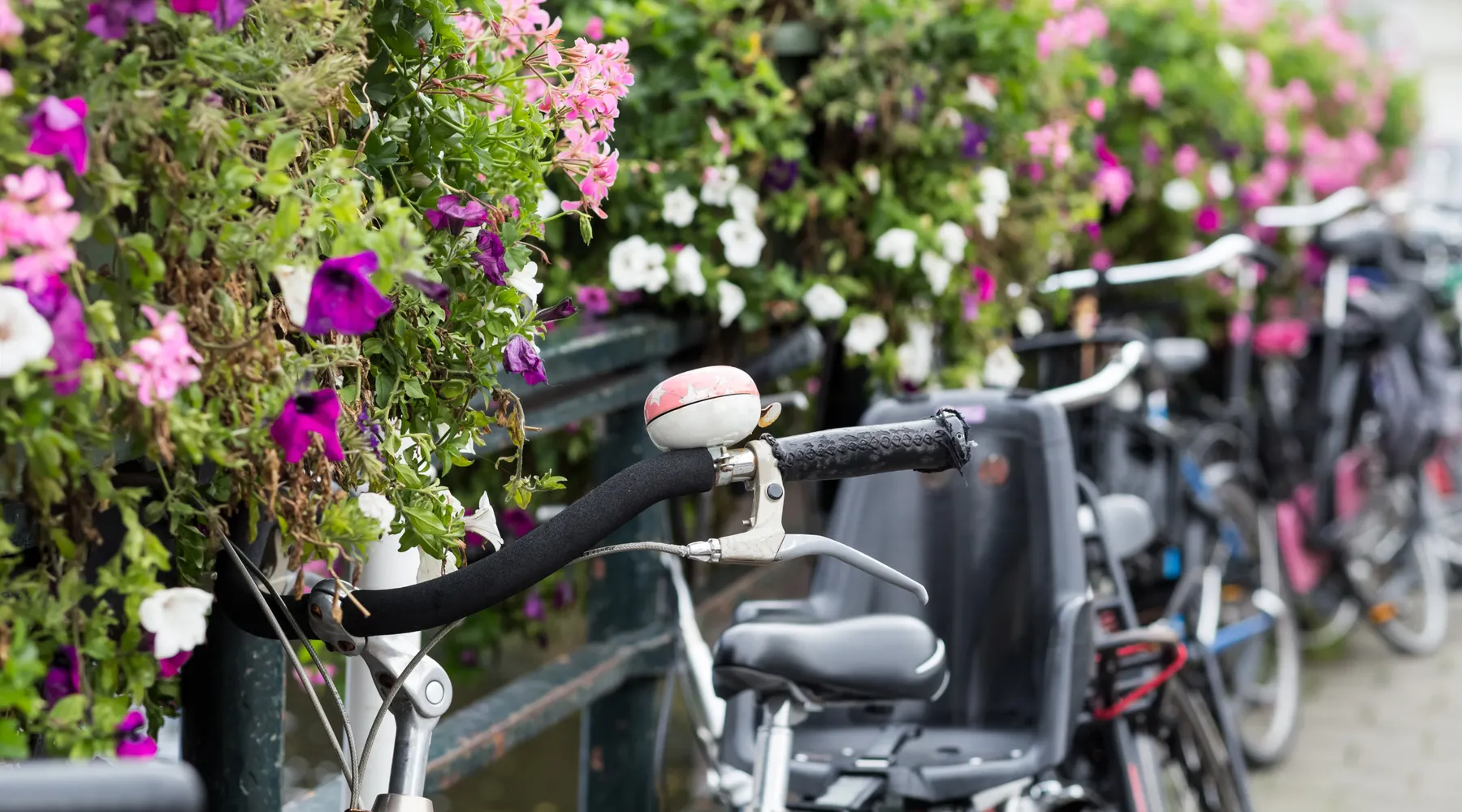 fietsen hotel cuijk nijmegen