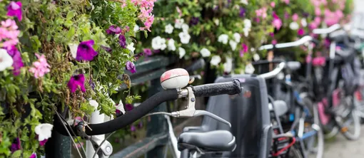 fietsen hotel cuijk nijmegen