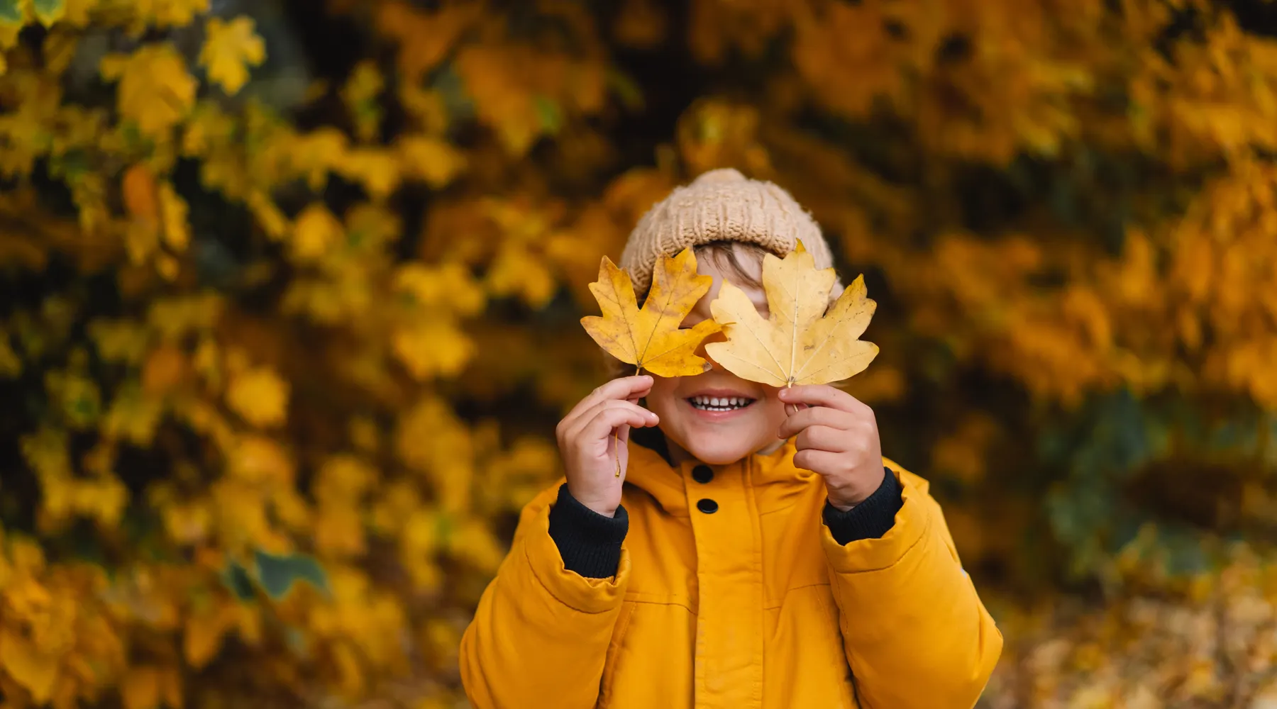 Child autumn Nijmegen