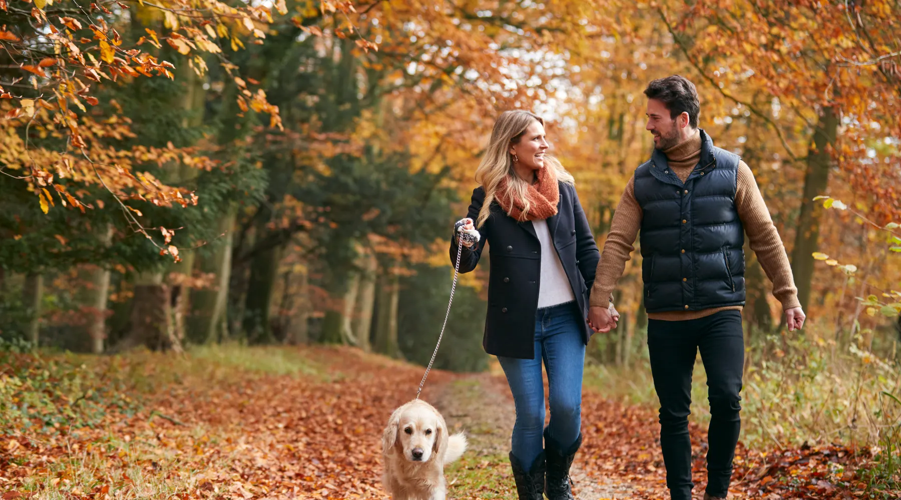 autumn van der valk nijmegen cuijk