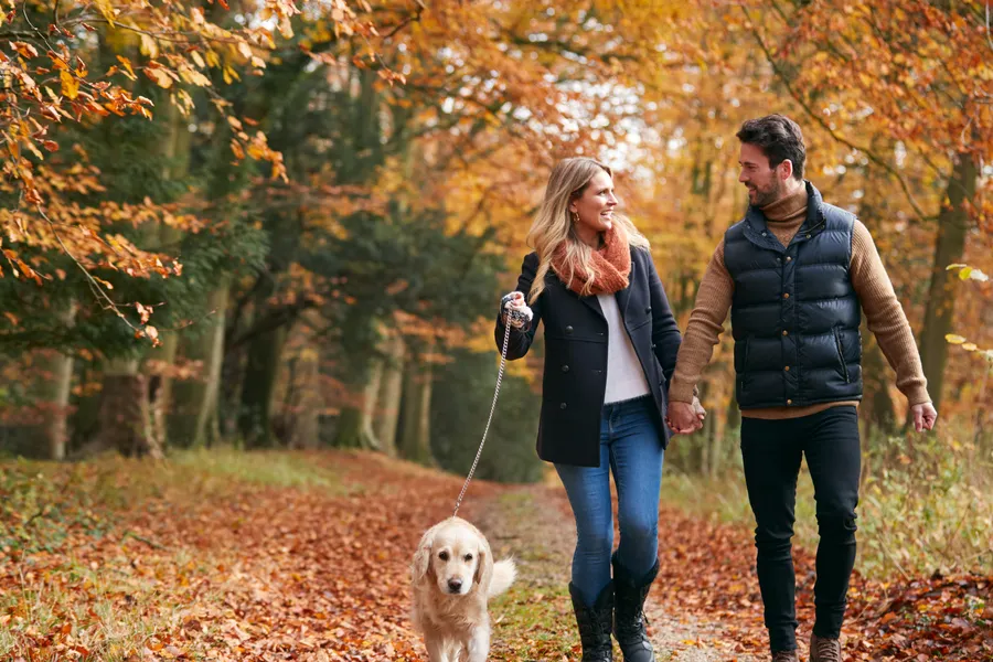 heerlijke herfst van der valk nijmegen cuijk