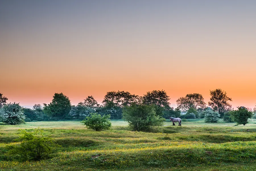 Regio land van cuijk