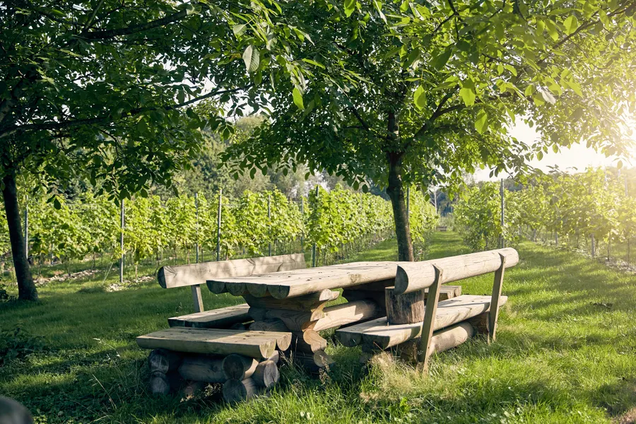 Omgeving hotel