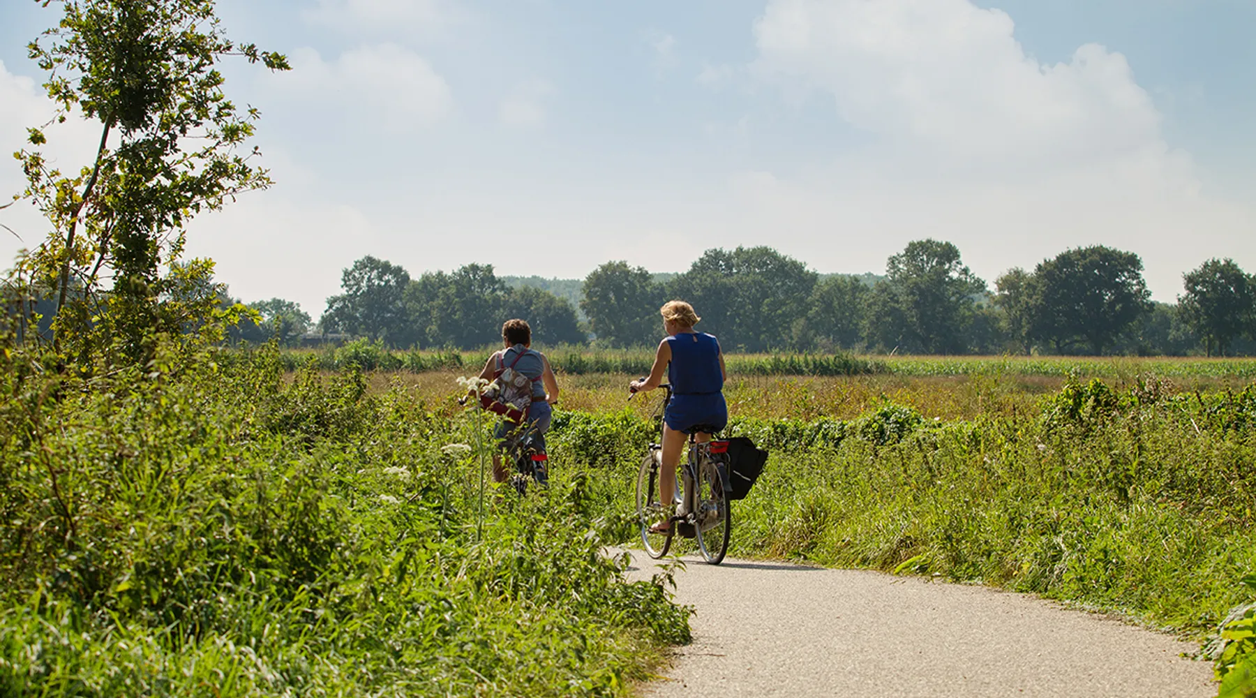 fietsen regio land van cuijk