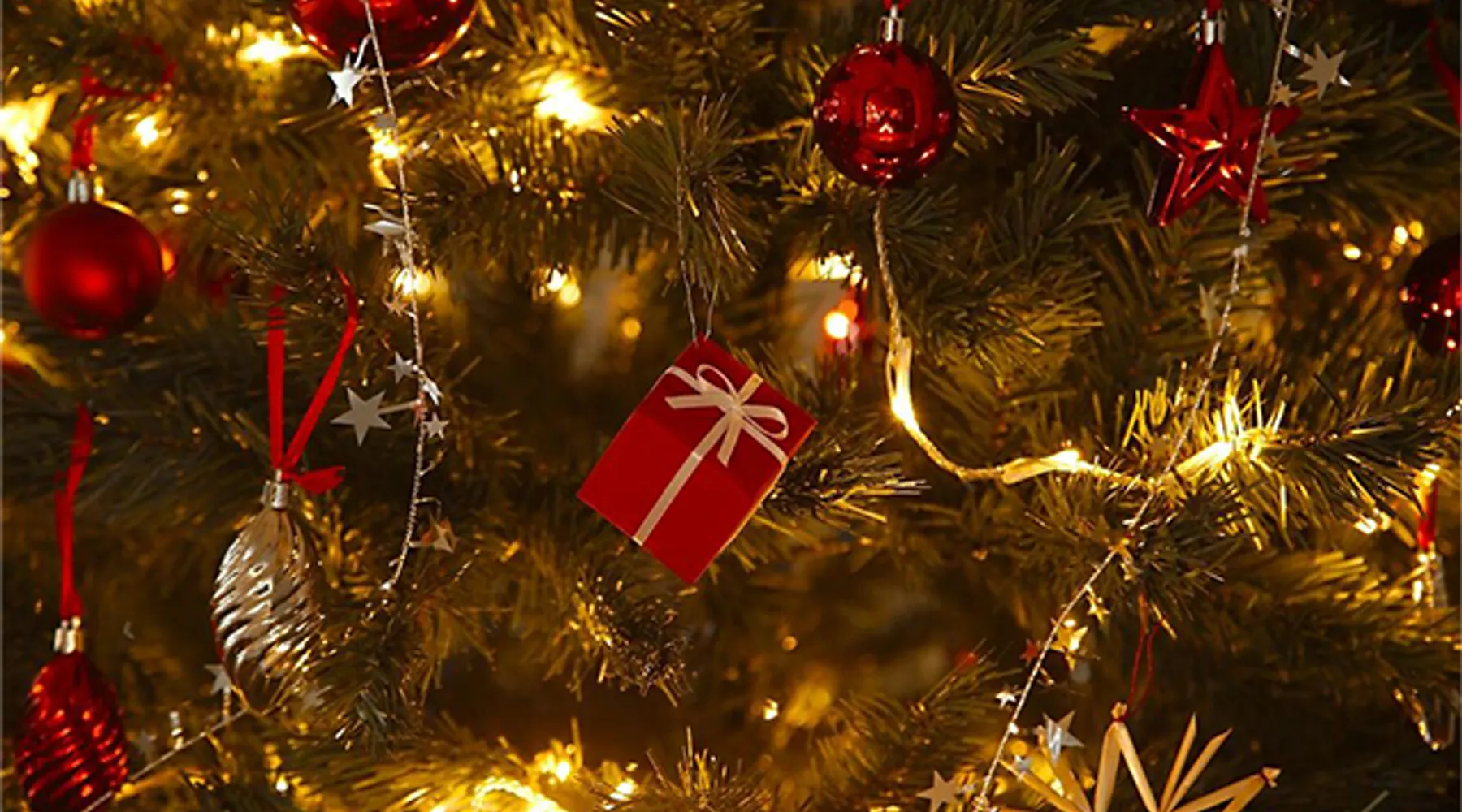 Van der Valk Cuijk Nijmegen Weihnachtsbaum