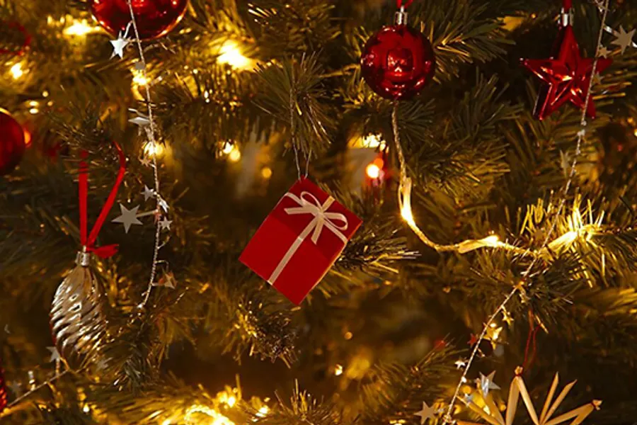 Van der Valk Cuijk Nijmegen Kerstboom
