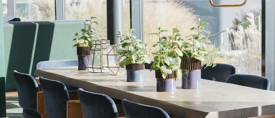 Flexible Arbeitsbereiche - Tisch und Stühle geeignet für flexibles Arbeiten