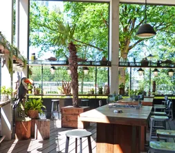 Terras