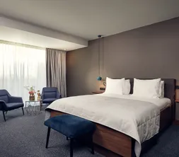 Superior King Room