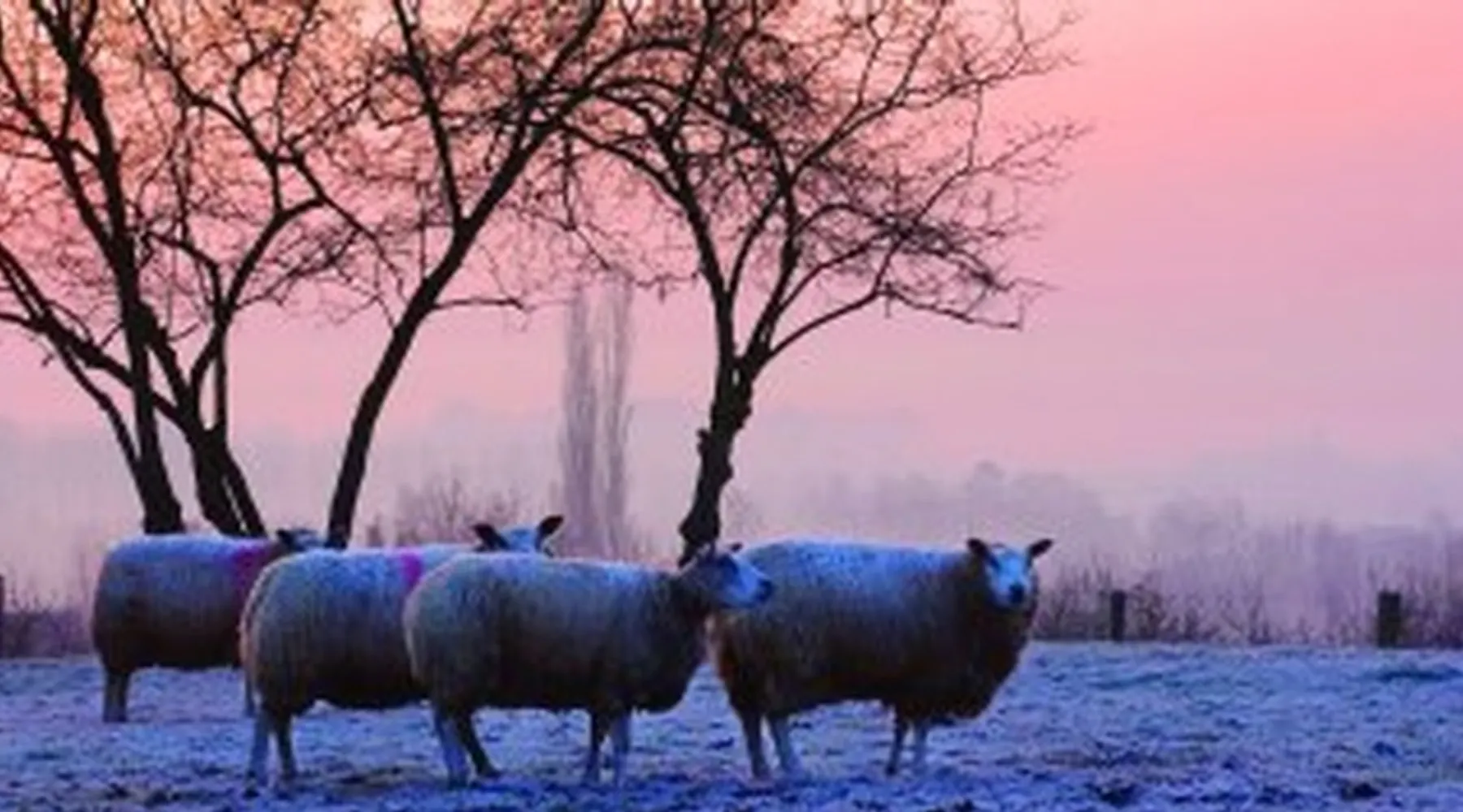Gilze-Rijen winterlandschap weekendje Brabant