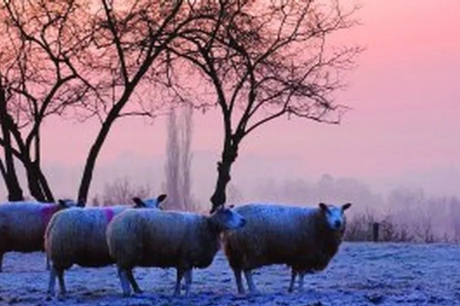 Winterlandschaft - Wochenende Brabant