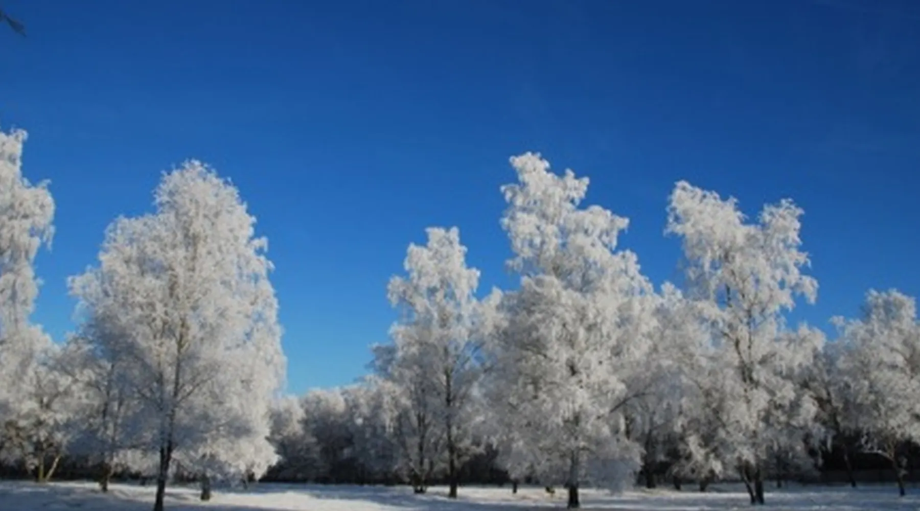 paysage d'hiver autour de l'hôtel