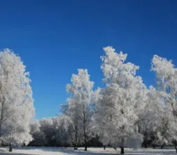winter landscape around the hotel