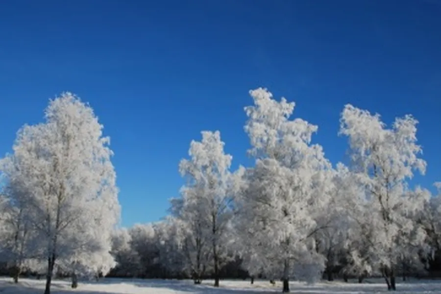 Winterlandschaft rund um das Hotel