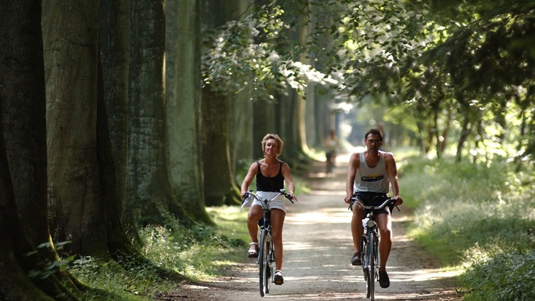 fietsen in Noord-Brabant