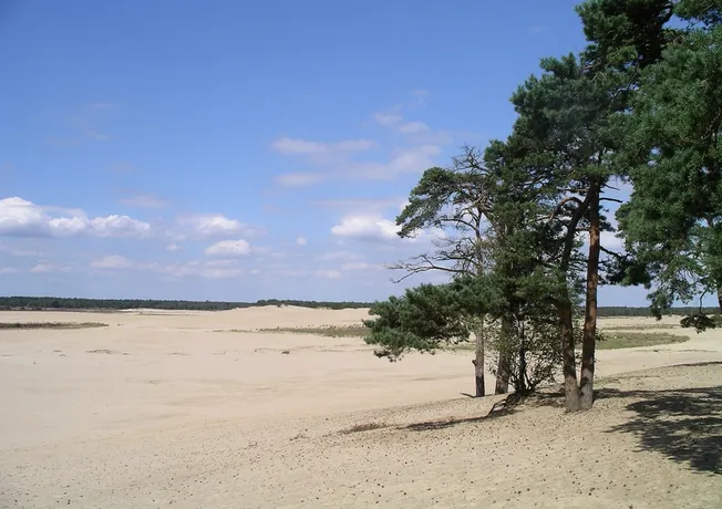 Loonse en Drunense Duinen