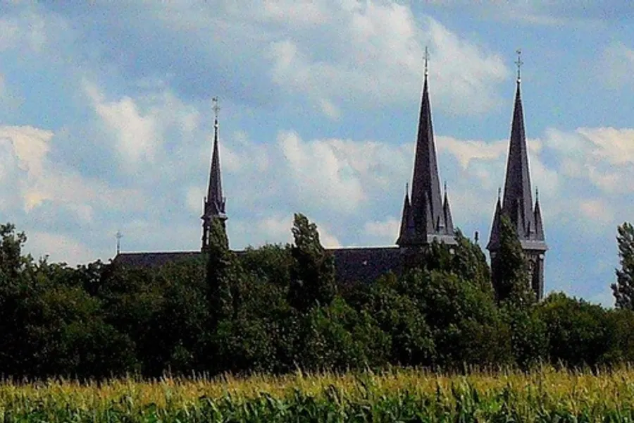 5-daags_Brabant_Zomerarrangement_header