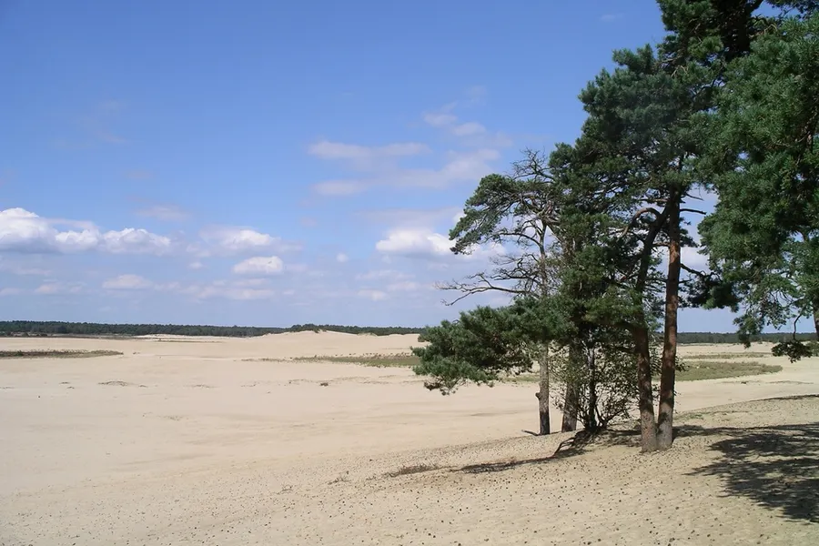 stuifzand drunense duinen