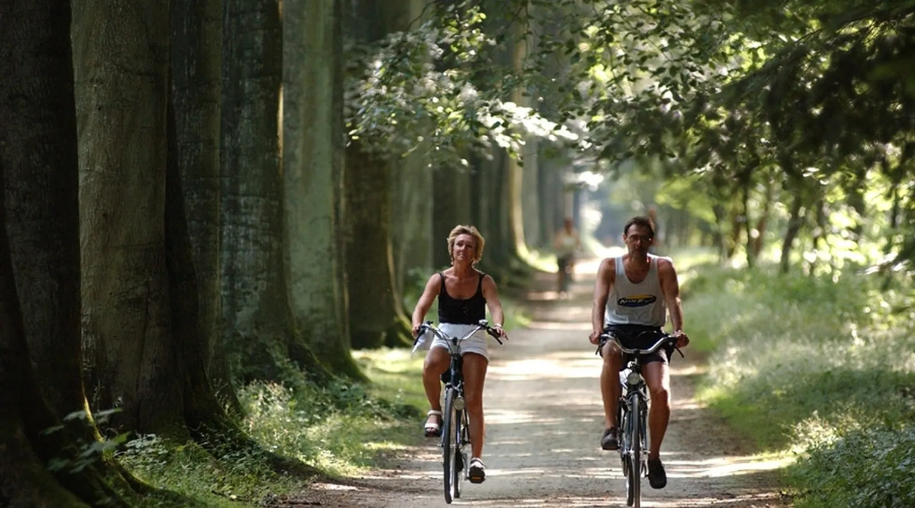 faire du velo dans la region de breda