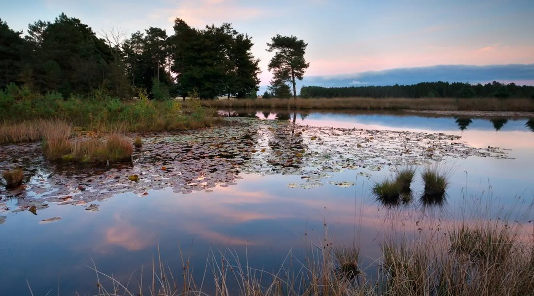 wandelen in het gebied van de Oisterwijkse bossen en vennen