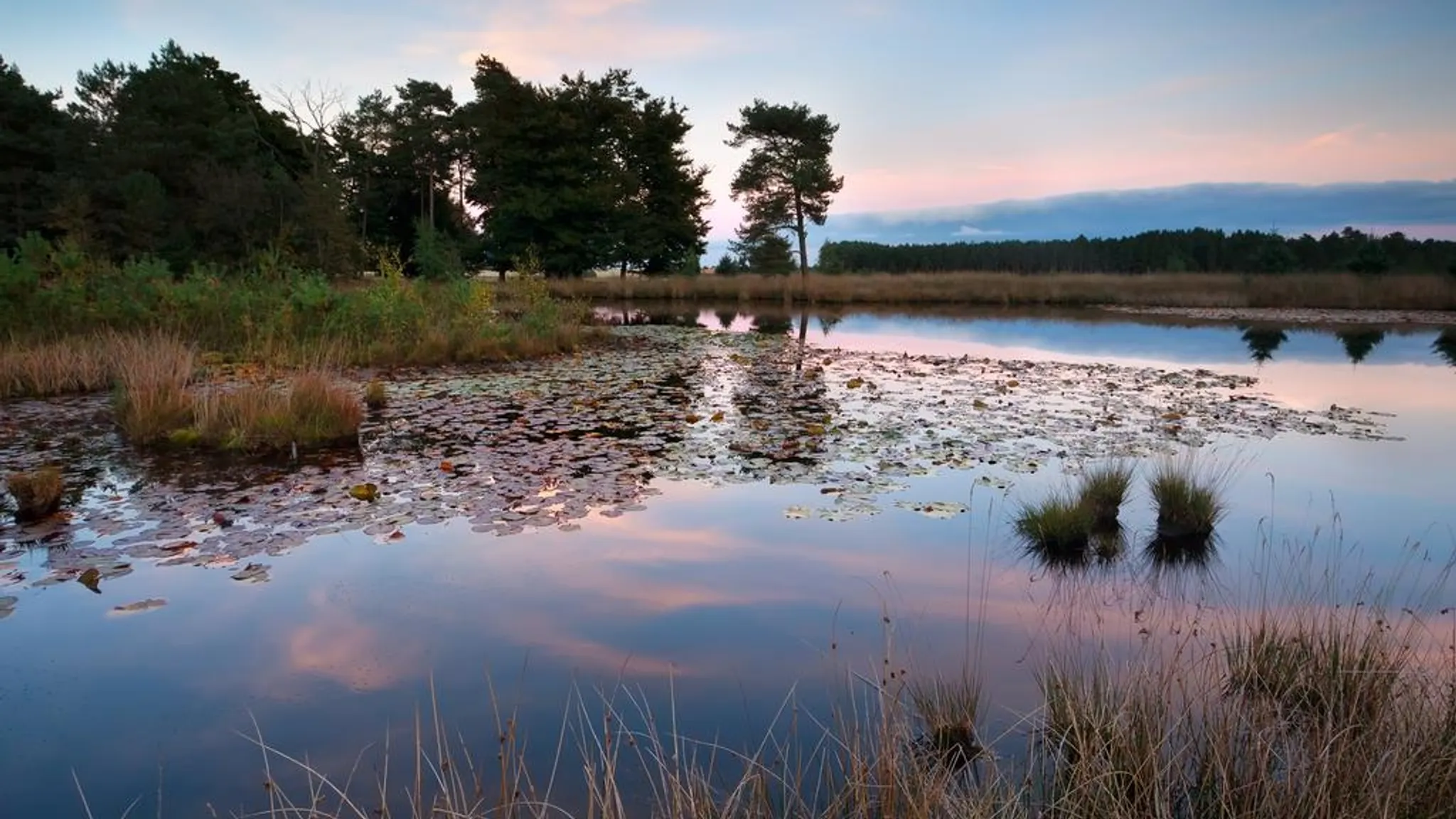 wandelen in het gebied van de Oisterwijkse bossen en vennen