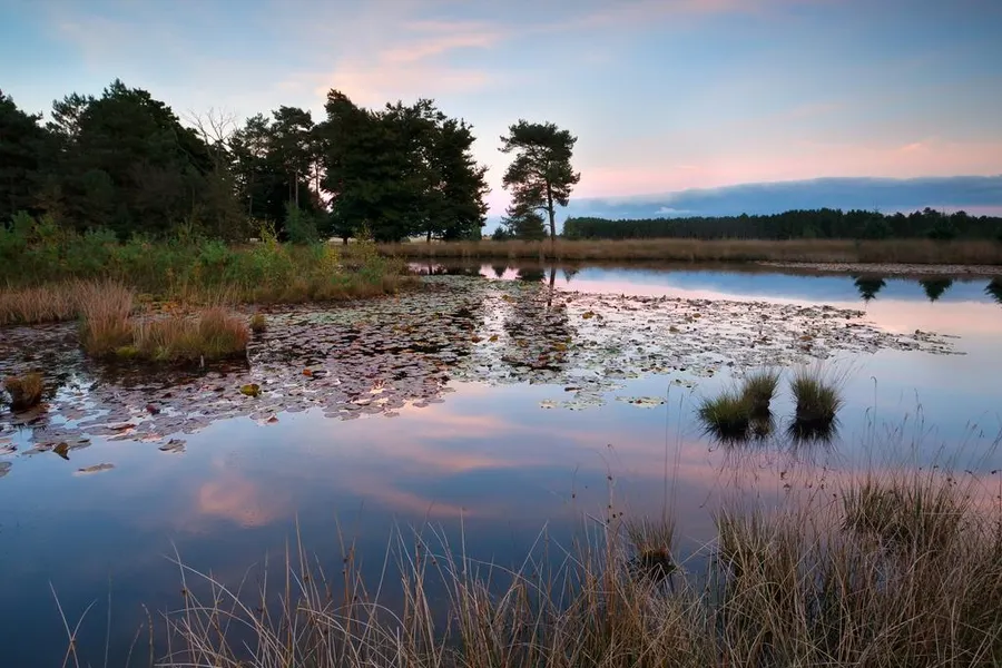 wandelen in het gebied van de Oisterwijkse bossen en vennen