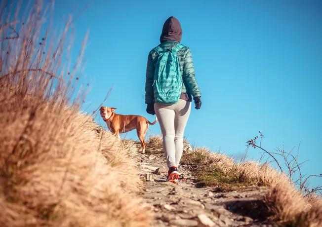 Hotel Gilze - Tilburg