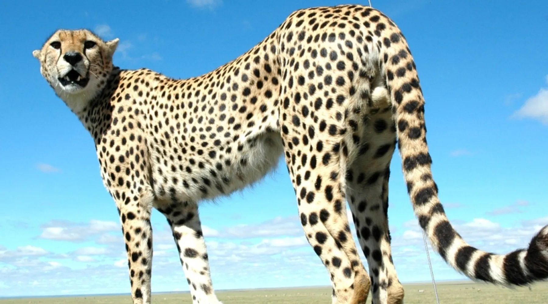 Safaripark Beekse Bergen